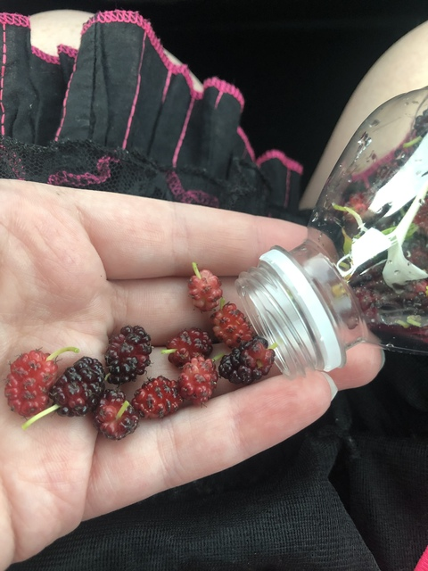 classclown header picture leakfans.com