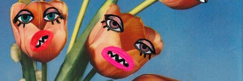 claudiaa header picture leakfans.com