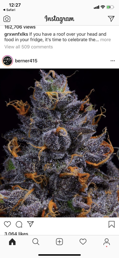 climaximus header picture leakfans.com