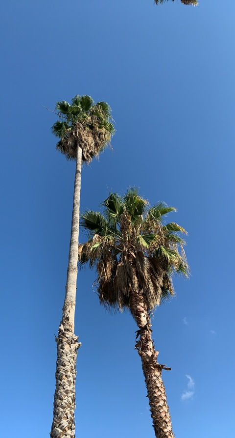 clongshore319 header picture leakfans.com