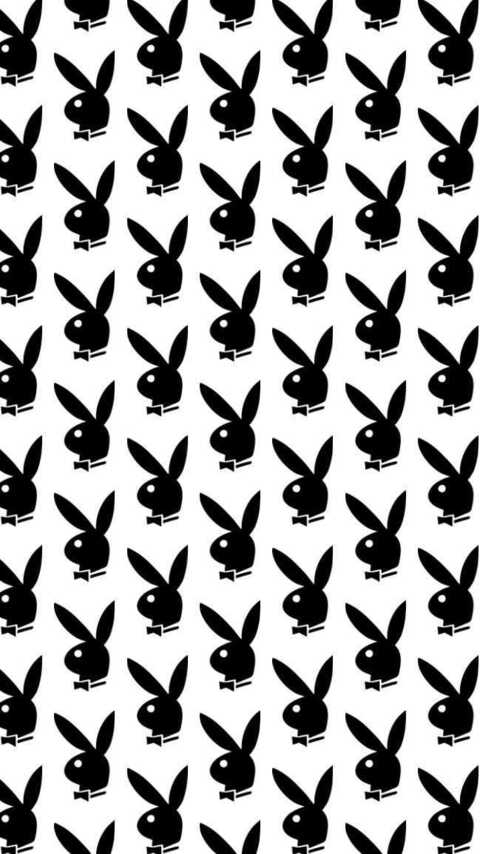 cloudface header picture leakfans.com