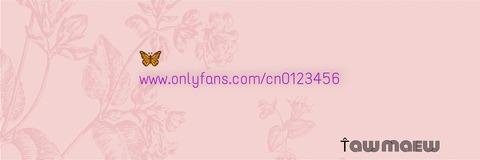 cn0123456 header picture leakfans.com