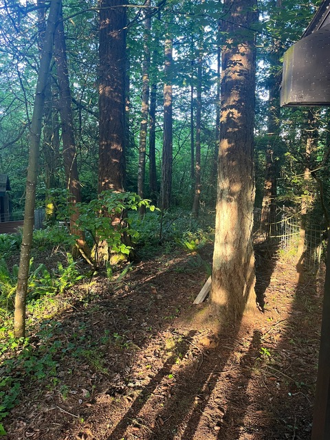 coachethan header picture leakfans.com