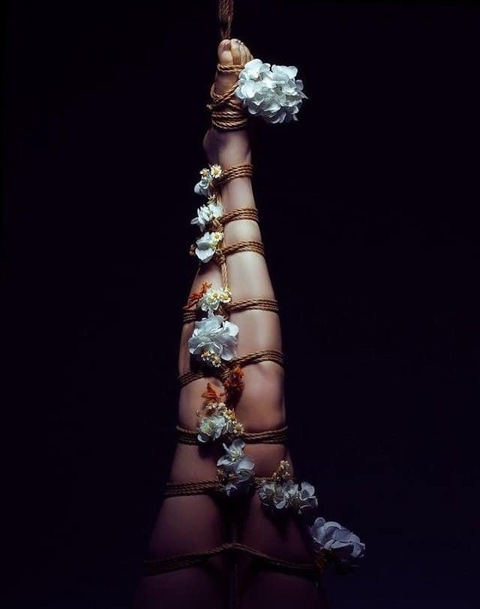 cobrasteele header picture leakfans.com