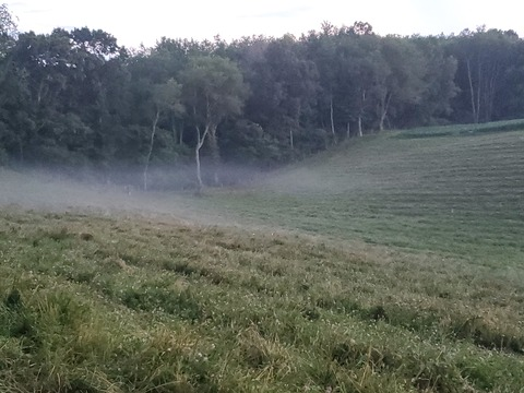 codybartley5 header picture leakfans.com