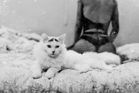 coldxhearted header picture leakfans.com