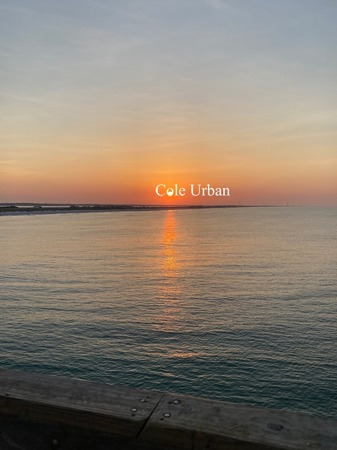 Header of coleurban