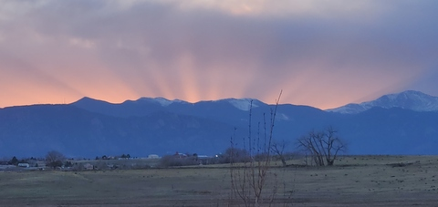 Header of coloradocock