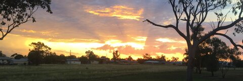 coltyy header picture leakfans.com