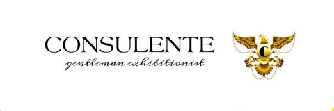 consulente header picture leakfans.com