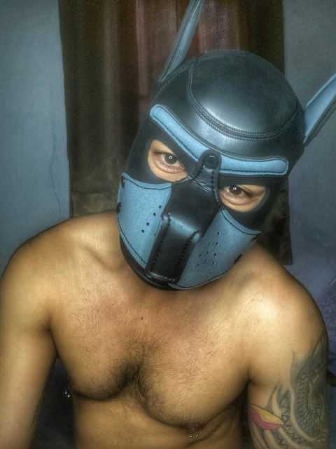 cool_bkk header picture leakfans.com