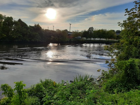 cosmic_butterfly header picture leakfans.com