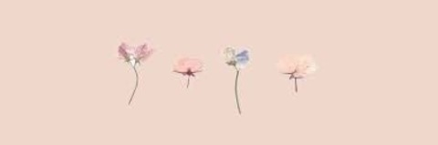 cosmicsunbeam header picture leakfans.com