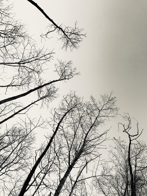 coupledchaos header picture leakfans.com