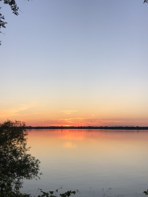 cowman2021 header picture leakfans.com