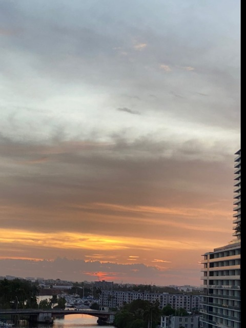 craneorosaa header picture leakfans.com