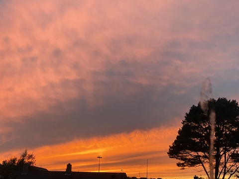 crazykichi header picture leakfans.com