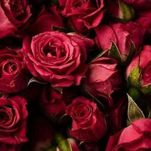 crimsoncassidy60 header picture leakfans.com