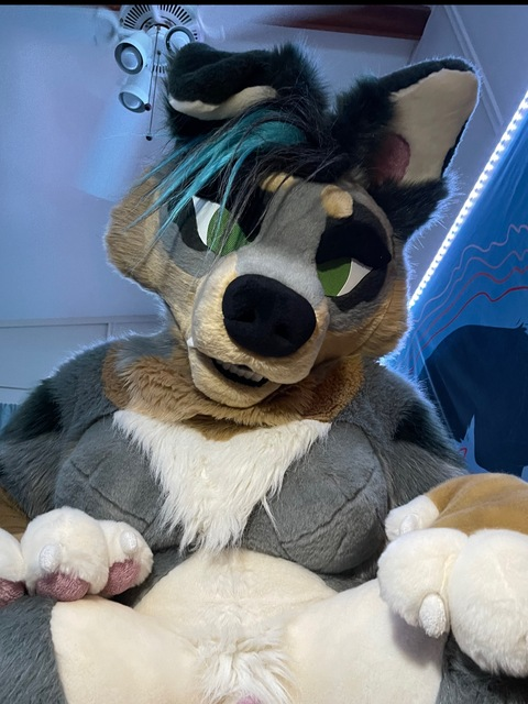 crownmutt header picture leakfans.com