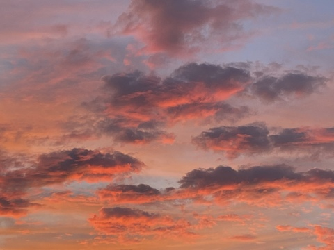 cruelcat666 header picture leakfans.com