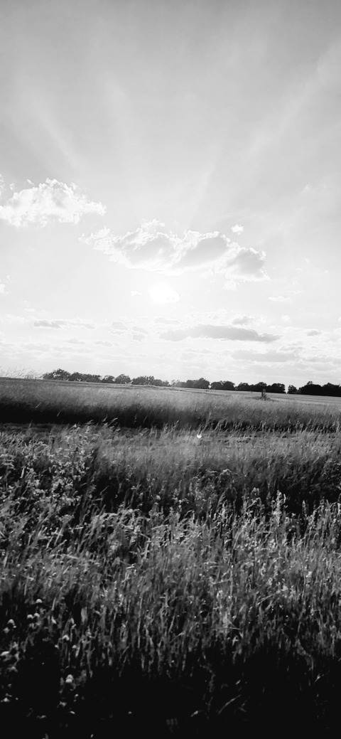 crushblueseyes header picture leakfans.com