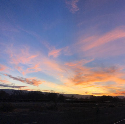 crystalfleurs header picture leakfans.com