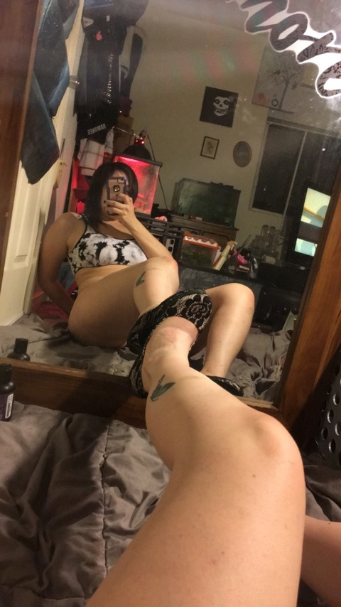 curiouswhitetiger header picture leakfans.com