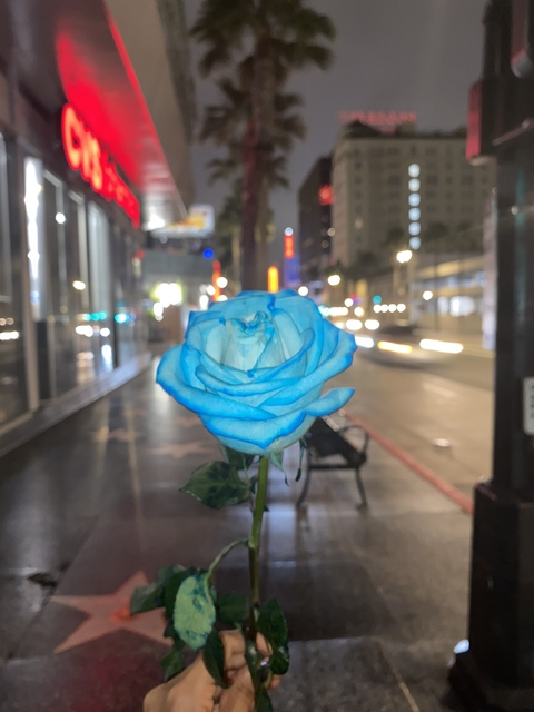 curlygirlie header picture leakfans.com