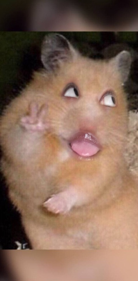 curvaceousdiddy header picture leakfans.com