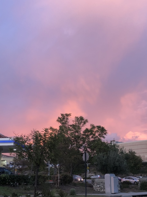 curvy.sexy.sassy header picture leakfans.com