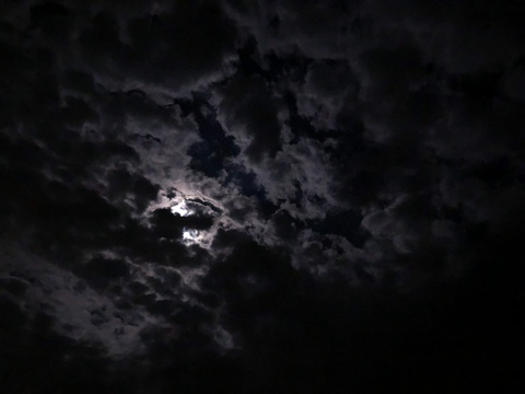 cynicalstoner header picture leakfans.com