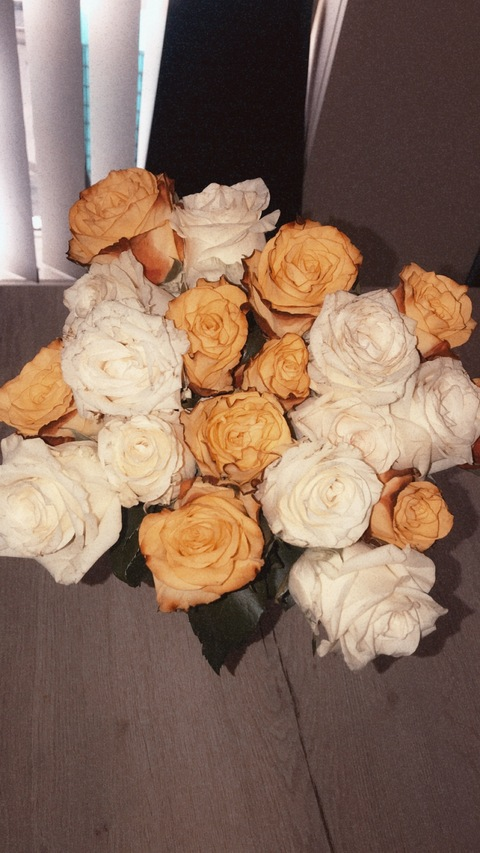 d.lee.ox header picture leakfans.com