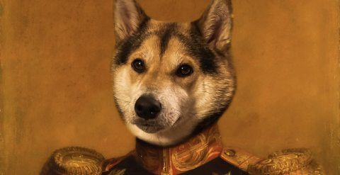 d0lldaddy header picture leakfans.com