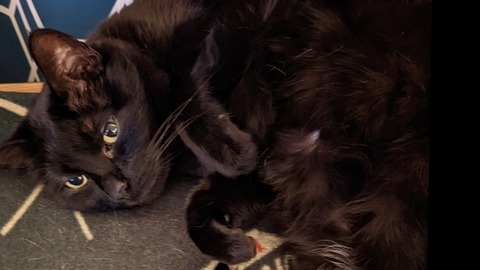 dabsandtitties header picture leakfans.com