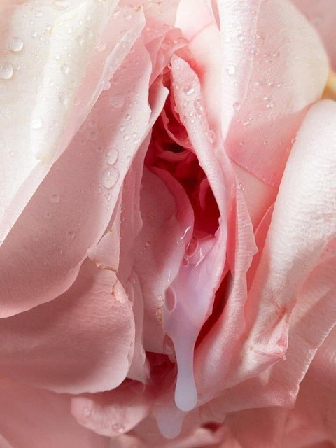 dadalee header picture leakfans.com