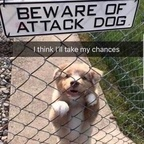 daddy22frost profile picture leakfans.com