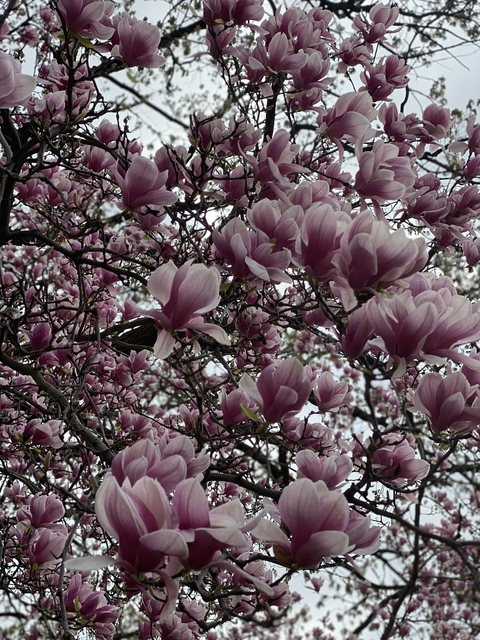 daddy9889 header picture leakfans.com