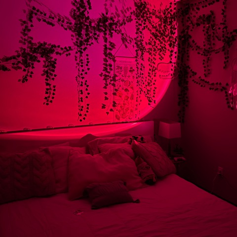 dahliagloom header picture leakfans.com