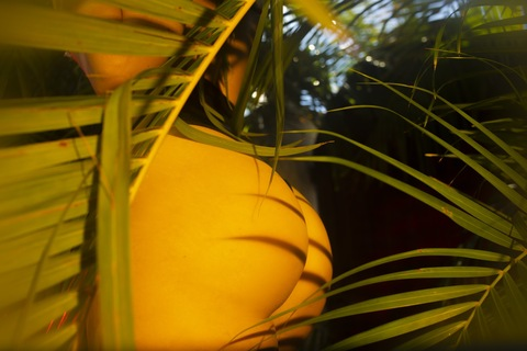 dahliaisdopey header picture leakfans.com