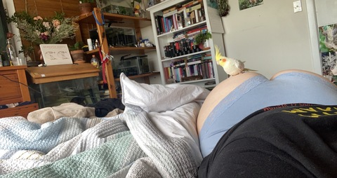 daisy_chain03 header picture leakfans.com