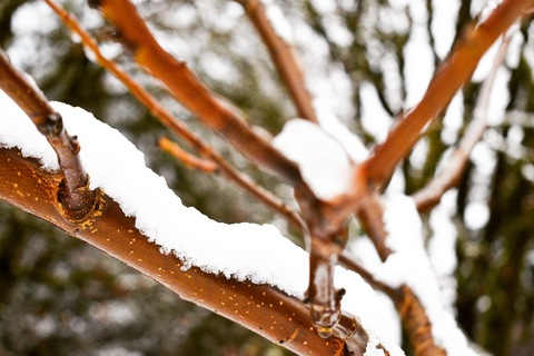 daisyday90 header picture leakfans.com