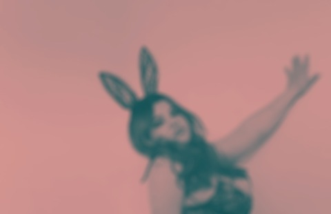 Header of daisyybuns