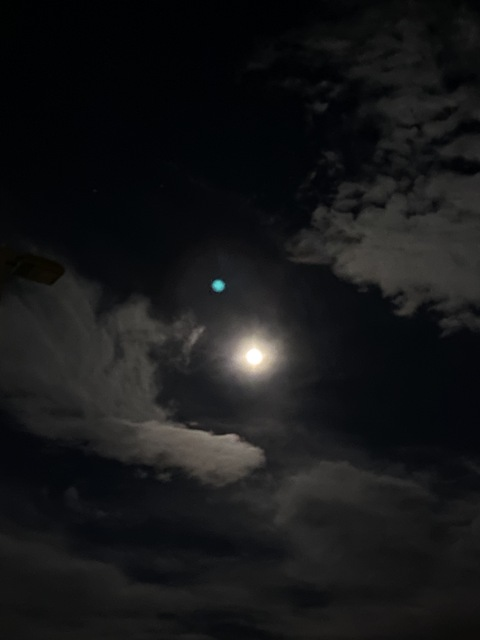 dammitmocki header picture leakfans.com