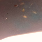 danibabyr profile picture leakfans.com