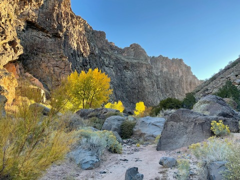 daniellewiildxxfree header picture leakfans.com