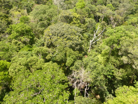 daniellivrebios header picture leakfans.com