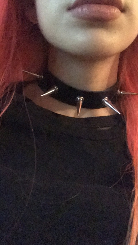 danisaurio header picture leakfans.com