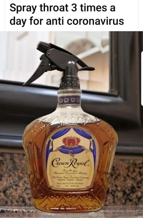 dank_frm_da6 header picture leakfans.com