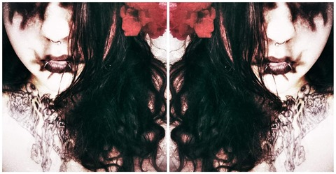 Header of dannidarkko