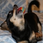 dannika profile picture leakfans.com